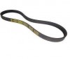 Correia 10pk 2476 Sc Serie-5 Pgr