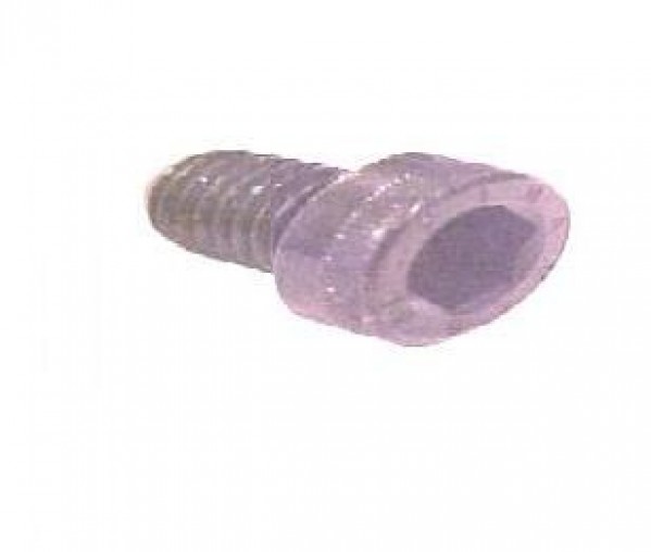 Parafuso Alenn 08x 10 Parafuso