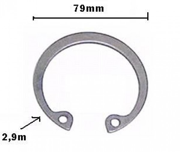 Trava Elastica 79mm Rolam Bom Bomba Agua Sc 110/111/112 ***