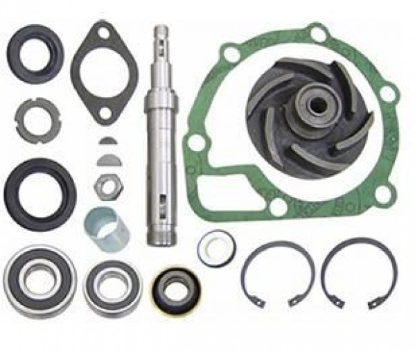 Reparo Bomba Agua Sc 110 Completo