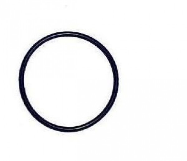 Anel Tampa Bomba D´agua B58/b10m Mercedes Benz