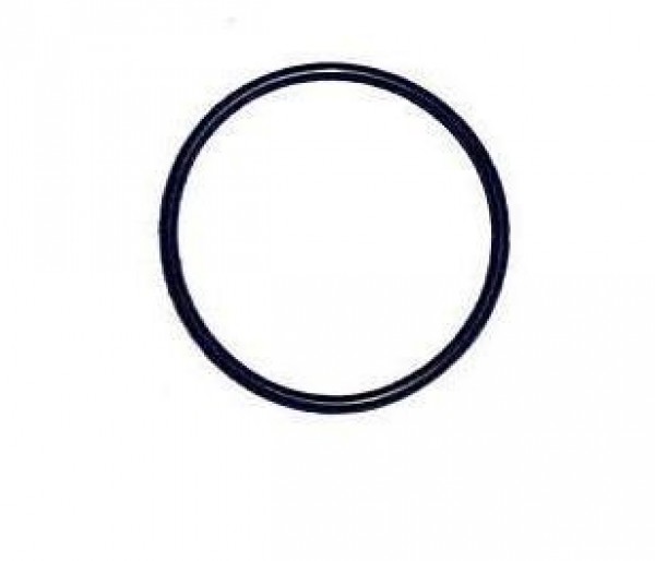 Anel 4x28 Camisa Bico Injetor Volvo N10 Td100a