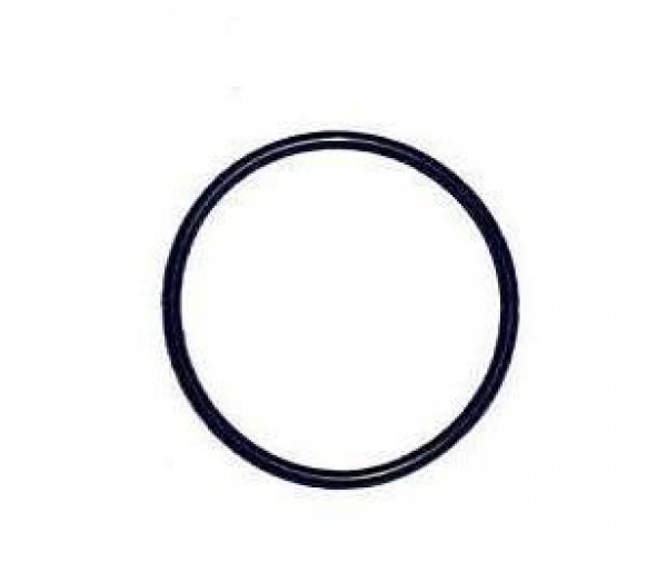 Anel Vedacao Volvo Fh/nh/fm