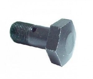Parafuso Oco 10mm Curto Bico Lubrf. Bloco Sc 111/112 Parafuso