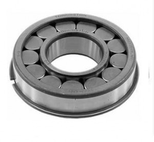 Rolamento 41x91x23 Diferen Ponta Pinh A5=1186 F 19006 Nj 308 Vhnrc4