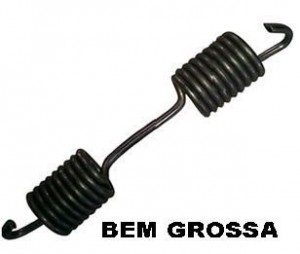 Mola Patim Dupla Traseira Mb 1313/2213 Grande Grossa