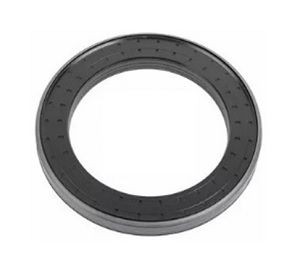 Retentor Roda Traseira Iveco Stralis